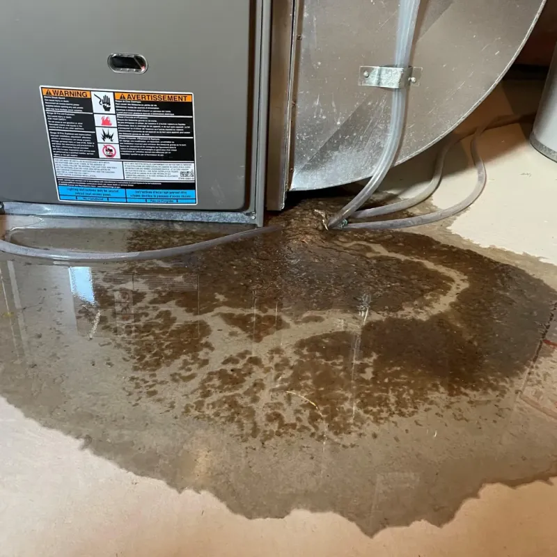 Appliance Leak Cleanup in Salem, UT